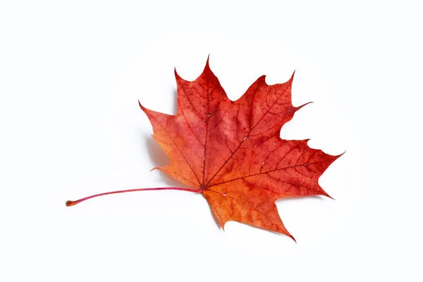 Canadian Made